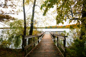 Wooden dock on a Minnesota lake — lake house estate planning